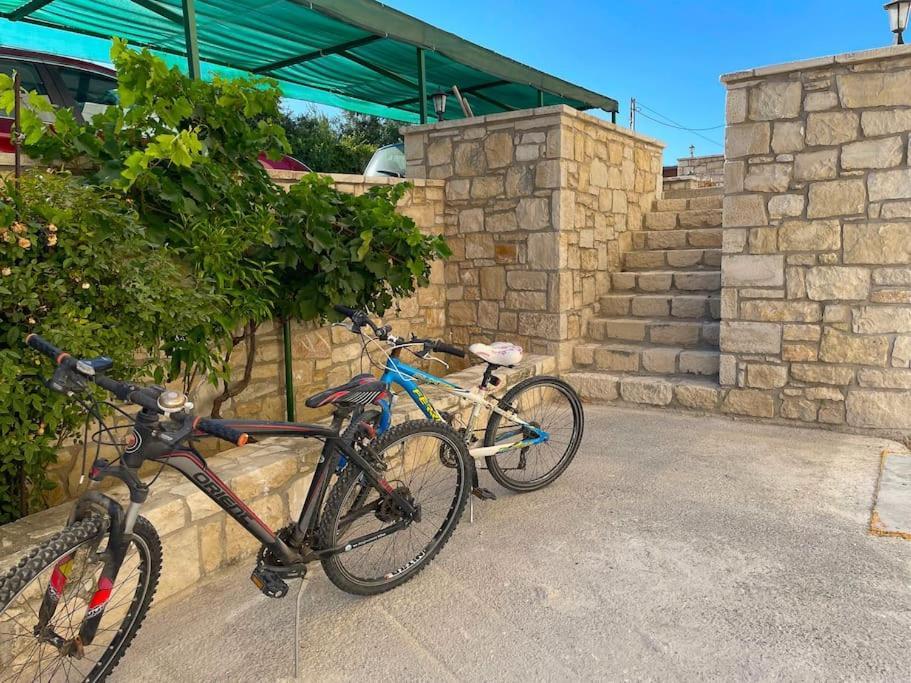 New Close To Medical Center With Garden Appartement *