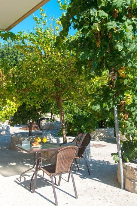 Appartement New Close To Medical Center With Garden *
